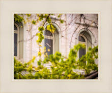Load image into Gallery viewer, Salt Lake City Temple Windows Of Eternity
