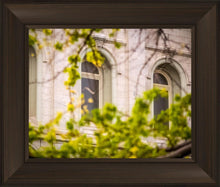 Load image into Gallery viewer, Salt Lake City Temple Windows Of Eternity
