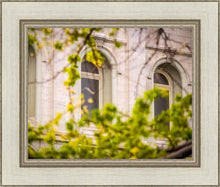 Load image into Gallery viewer, Salt Lake City Temple Windows Of Eternity
