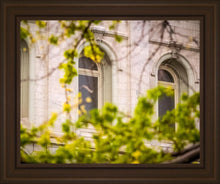 Load image into Gallery viewer, Salt Lake City Temple Windows Of Eternity
