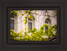 Load image into Gallery viewer, Salt Lake City Temple Windows Of Eternity
