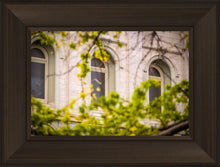 Load image into Gallery viewer, Salt Lake City Temple Windows Of Eternity
