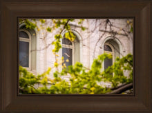 Load image into Gallery viewer, Salt Lake City Temple Windows Of Eternity
