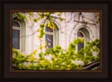 Load image into Gallery viewer, Salt Lake City Temple Windows Of Eternity
