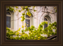 Load image into Gallery viewer, Salt Lake City Temple Windows Of Eternity

