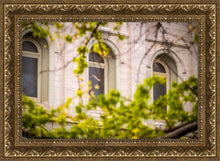 Load image into Gallery viewer, Salt Lake City Temple Windows Of Eternity
