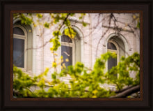 Load image into Gallery viewer, Salt Lake City Temple Windows Of Eternity
