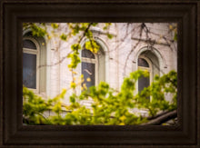 Load image into Gallery viewer, Salt Lake City Temple Windows Of Eternity
