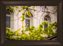 Load image into Gallery viewer, Salt Lake City Temple Windows Of Eternity
