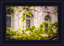 Load image into Gallery viewer, Salt Lake City Temple Windows Of Eternity
