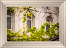 Load image into Gallery viewer, Salt Lake City Temple Windows Of Eternity
