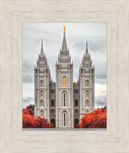 Load image into Gallery viewer, Salt Lake City Temple Autumn's Glory
