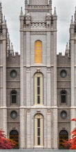 Load image into Gallery viewer, Salt Lake City Temple Autumn's Glory Gallery Wrap
