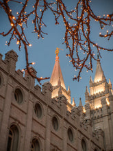 Load image into Gallery viewer, Salt Lake City Temple Evergreen Christmas
