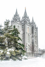 Load image into Gallery viewer, Salt Lake City Temple Evergreen Christmas
