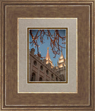 Load image into Gallery viewer, Salt Lake City Temple He Giveth Light
