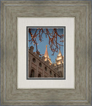 Load image into Gallery viewer, Salt Lake City Temple He Giveth Light
