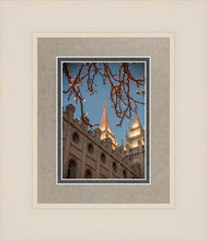 Load image into Gallery viewer, Salt Lake City Temple He Giveth Light
