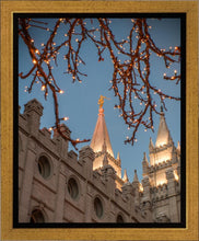 Load image into Gallery viewer, Salt Lake City Temple He Giveth Light Gallery Wrap
