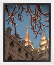 Load image into Gallery viewer, Salt Lake City Temple He Giveth Light Gallery Wrap
