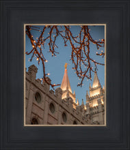 Load image into Gallery viewer, Salt Lake City Temple He Giveth Light
