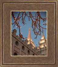 Load image into Gallery viewer, Salt Lake City Temple He Giveth Light
