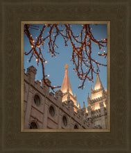 Load image into Gallery viewer, Salt Lake City Temple He Giveth Light
