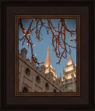Load image into Gallery viewer, Salt Lake City Temple He Giveth Light
