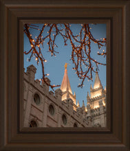 Load image into Gallery viewer, Salt Lake City Temple He Giveth Light

