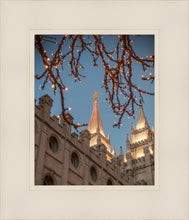 Load image into Gallery viewer, Salt Lake City Temple He Giveth Light
