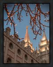 Load image into Gallery viewer, Salt Lake City Temple He Giveth Light Gallery Wrap

