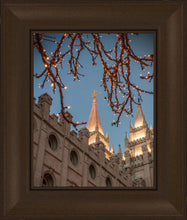 Load image into Gallery viewer, Salt Lake City Temple He Giveth Light
