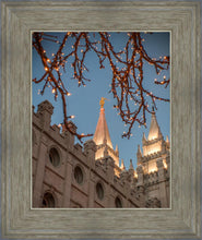 Load image into Gallery viewer, Salt Lake City Temple He Giveth Light
