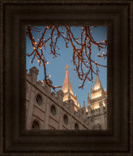 Load image into Gallery viewer, Salt Lake City Temple He Giveth Light
