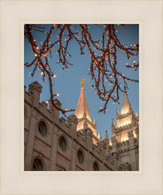 Load image into Gallery viewer, Salt Lake City Temple He Giveth Light
