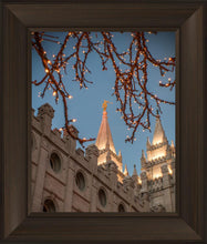 Load image into Gallery viewer, Salt Lake City Temple He Giveth Light
