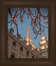 Load image into Gallery viewer, Salt Lake City Temple He Giveth Light
