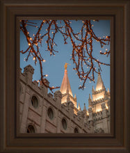 Load image into Gallery viewer, Salt Lake City Temple He Giveth Light
