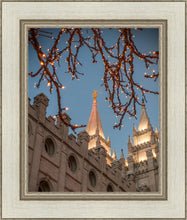 Load image into Gallery viewer, Salt Lake City Temple He Giveth Light
