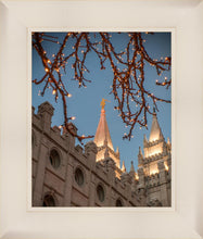 Load image into Gallery viewer, Salt Lake City Temple He Giveth Light
