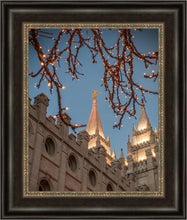 Load image into Gallery viewer, Salt Lake City Temple He Giveth Light
