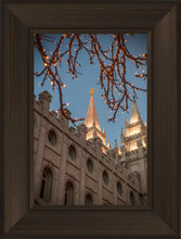 Load image into Gallery viewer, Salt Lake City Temple He Giveth Light
