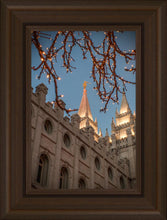 Load image into Gallery viewer, Salt Lake City Temple He Giveth Light
