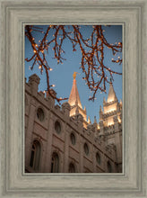 Load image into Gallery viewer, Salt Lake City Temple He Giveth Light
