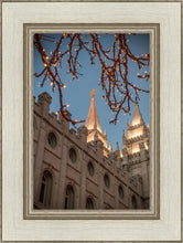 Load image into Gallery viewer, Salt Lake City Temple He Giveth Light
