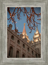 Load image into Gallery viewer, Salt Lake City Temple He Giveth Light
