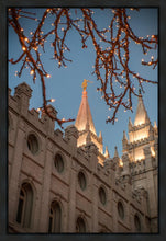 Load image into Gallery viewer, Salt Lake City Temple He Giveth Light Gallery Wrap
