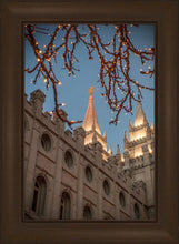 Load image into Gallery viewer, Salt Lake City Temple He Giveth Light
