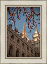 Load image into Gallery viewer, Salt Lake City Temple He Giveth Light

