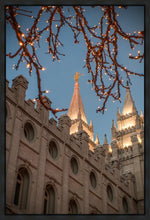 Load image into Gallery viewer, Salt Lake City Temple He Giveth Light Gallery Wrap
